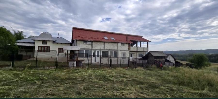 Casa P+M cu 3650 mp teren cu toate utilitatile - 5