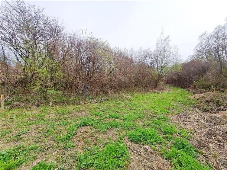 1.700mp intravilan,acces usor,intre case,ideal 2 locuinte/investitie,Lunca Calni - 14