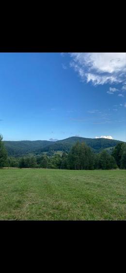 Teren de vanzare Sucevita - 2