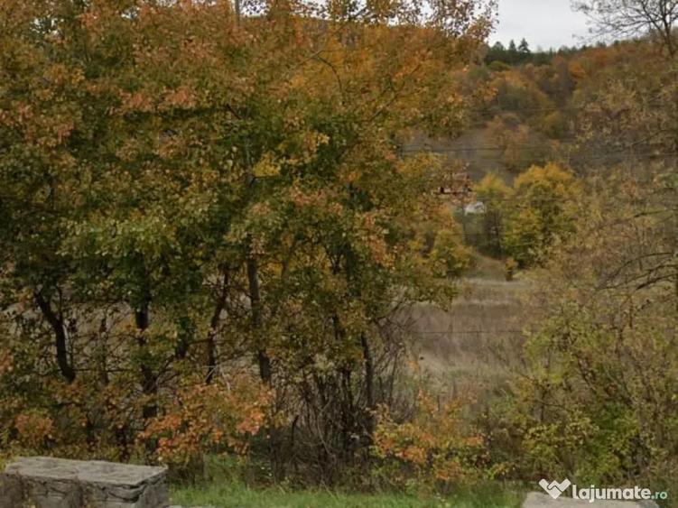 Oportunitate investi?ie teren intravilan 1592 mp Brezoi(Proieni)aproape de lac - 2