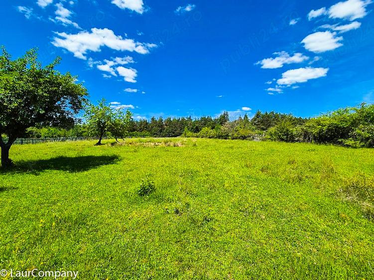 Teren intravilan Cotmeana Arges - 5