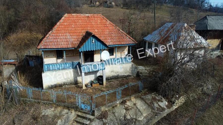 Casa batraneasca + 10.076 mp teren de vanzare in comuna Cepari, Jude? Arge?. - 9