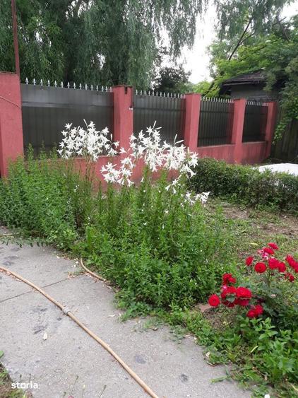 Vanzare casa cu livada - 1