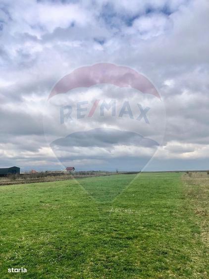 COMISION 0% | Teren intravilan | 3545 MP | Oportunitate de investitie - 5