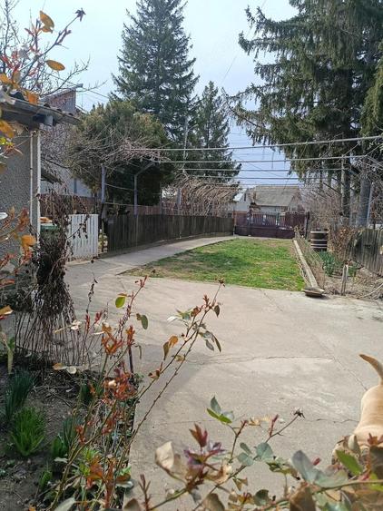 Vand casa batraneasca,sat plescoi - 2