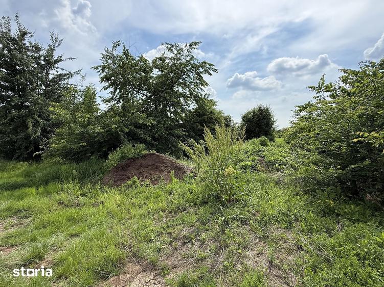 Teren de 498.02 mp, în Corbeanca