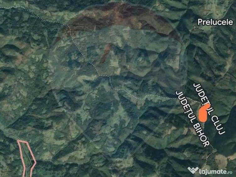 Teren 130000 mp extravilan, faneata si padure, Munteni - ... - 2