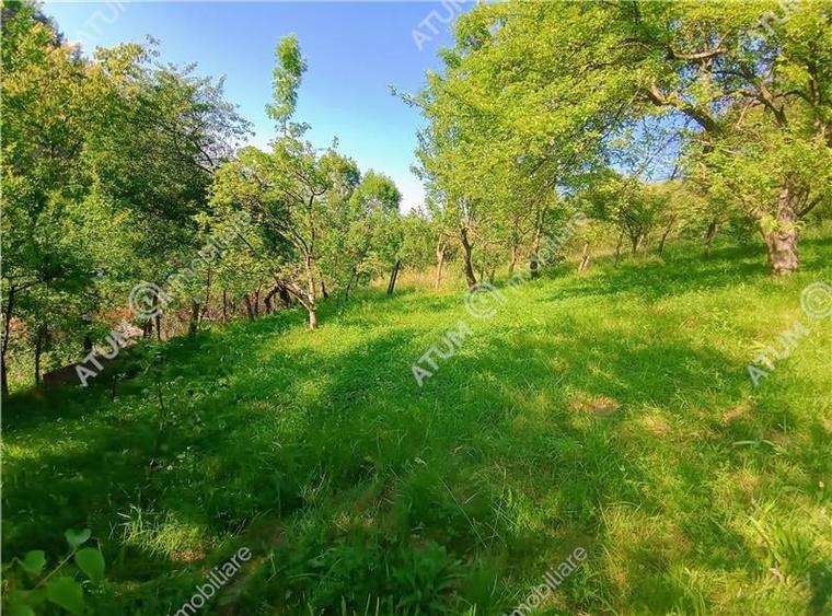 Casa traditionala din lemn cu 930 mp teren langa Sibiu - 7