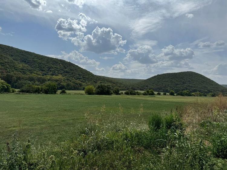 Teren in Slava Cercheza jud Tulcea 1000mp, situat langa padure - 3