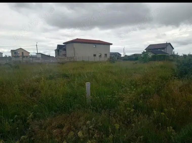 Vand teren intravilan 500 mp Ghercesti, 55 euro mp 55 EUR negociabil - 6