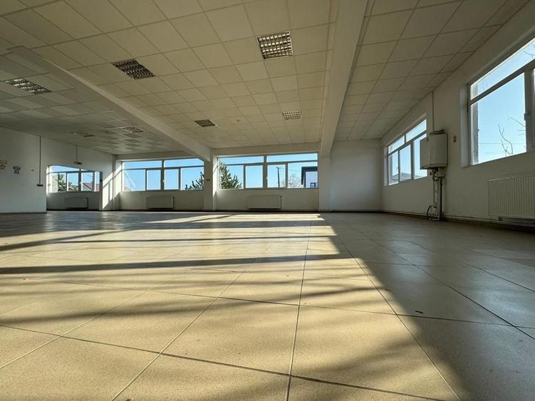 Hala productie P+1 si apartament de serviciu Navodari - c-tie beton - 8