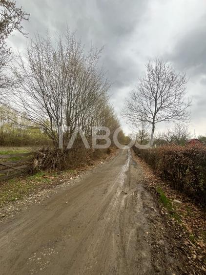 Teren intravilan de vanzare 550m front 21 m utilitati la 120m Cisnadie - 4