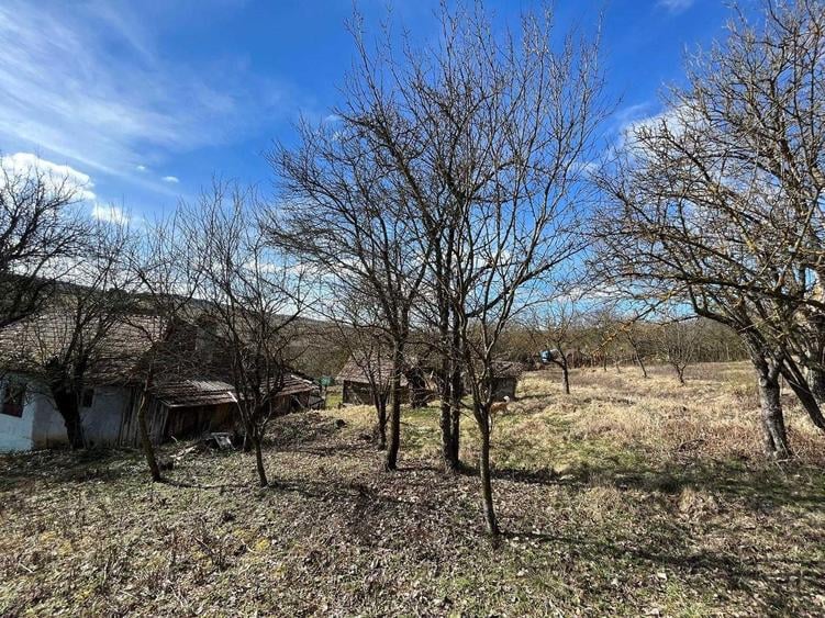 Casa cu Teren Extins Liniste, Natura si Spatiu Generos - 3