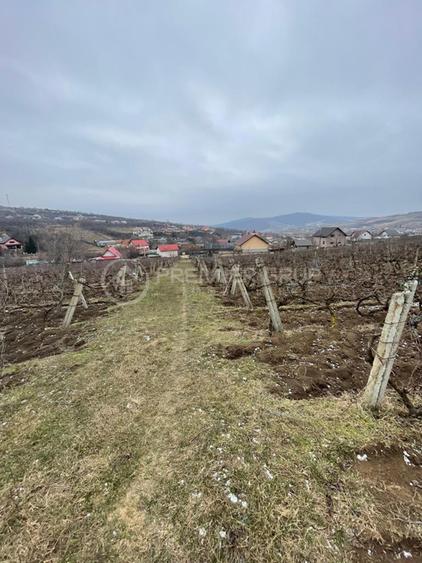 Teren ideal pentru dezvoltare 4.209mp, Chicerea, Comuna Tomești - 4