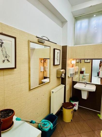 Armeneasca - Pache Protopopescu apartament in vila arhitectura deosebita - 16