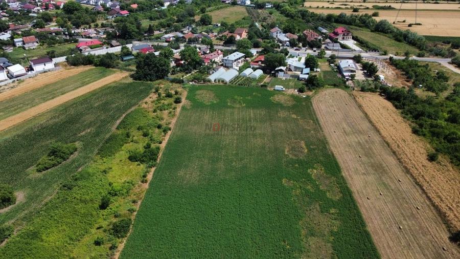 Teren Constructii Intravilan 4750mp SABARENI - 0% COMISION - 4