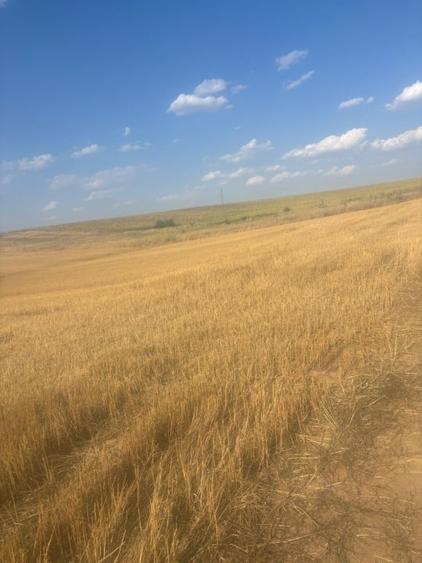 Teren intravilan, 500mp, zona Malu Mare, comision 0% - 4