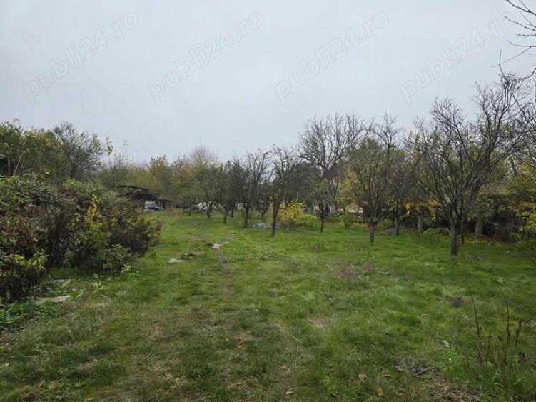 Vand Case comuna Vedea judetul Giurgiu - 4