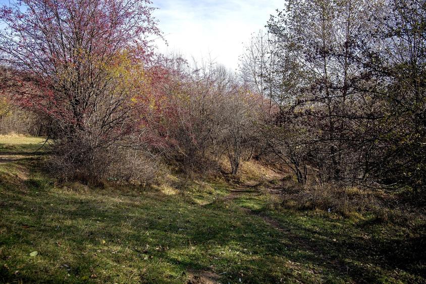 Teren intravilan 5723mp Zarnesti Tohanita- case de vacanta,investitie in turism - 19