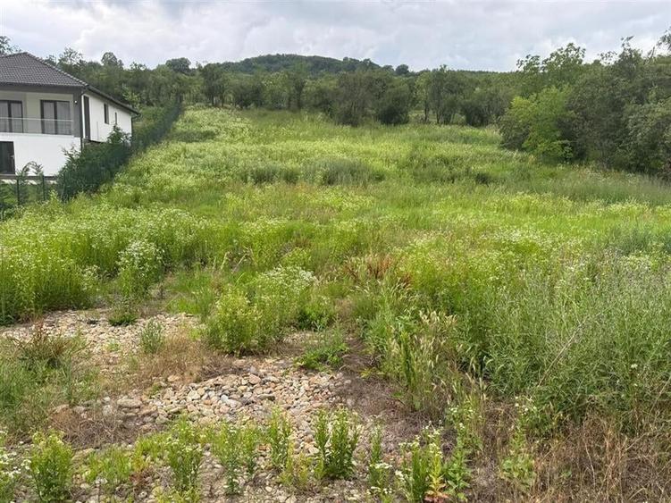 TEREN INTRAVILAN 2.077 MP | DUBLU FRONT | PODGORIA - 2