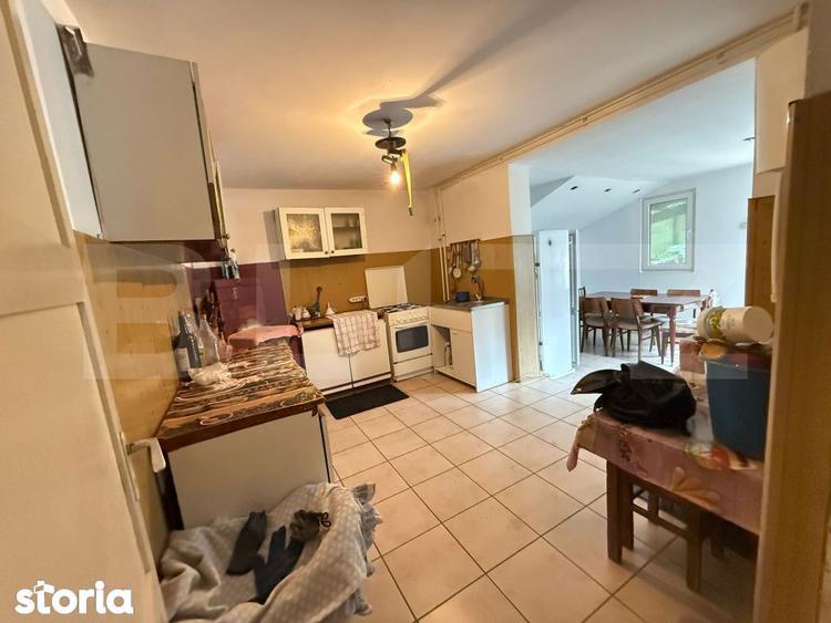 Casa de vanzare, comuna Licurici, Gorj - 9