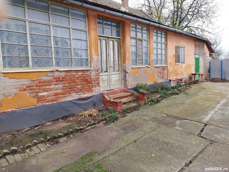 Casa de vanzare in Cenad judetul Timis - 4
