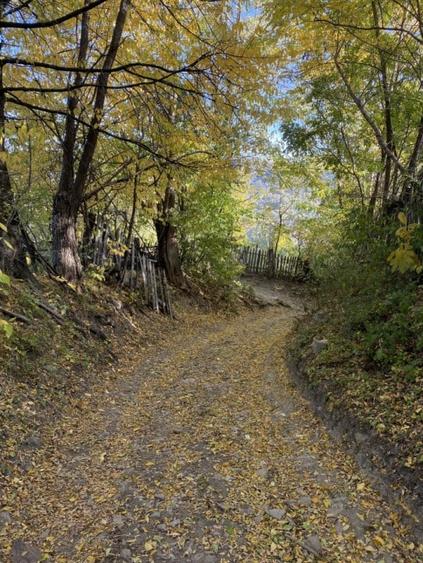 Teren retras panoramic Valea Doftanei 1350 mp panta lina, cu utilitati - 11