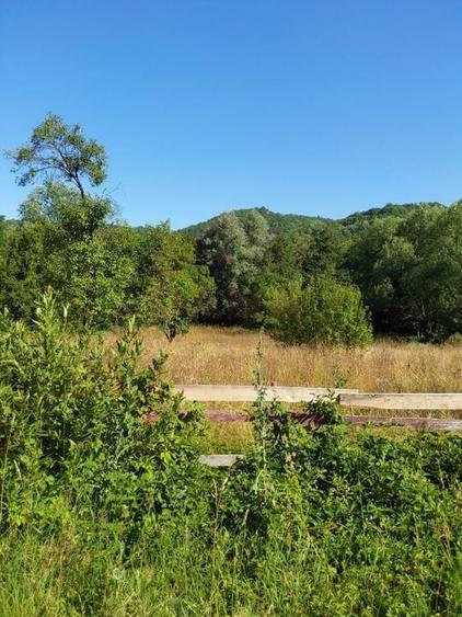 TEREN INTRAVILAN ZĂVOI\ZONA VALEA BISTREI, JUD.C-S - 5