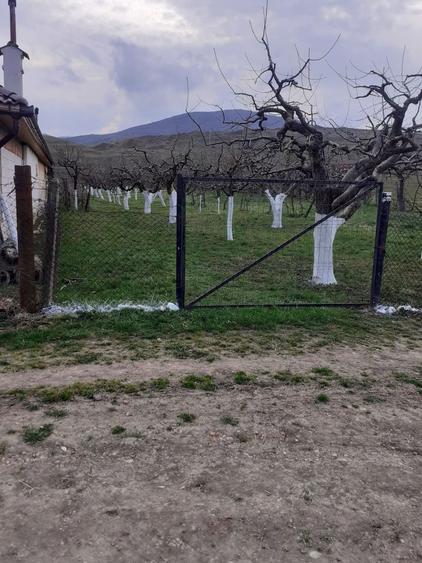 Vand teren extravilan livada - 1