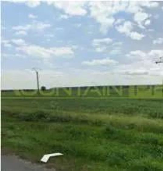 Nadlac, 29300 mp teren, de vanzare, negociabil - 6