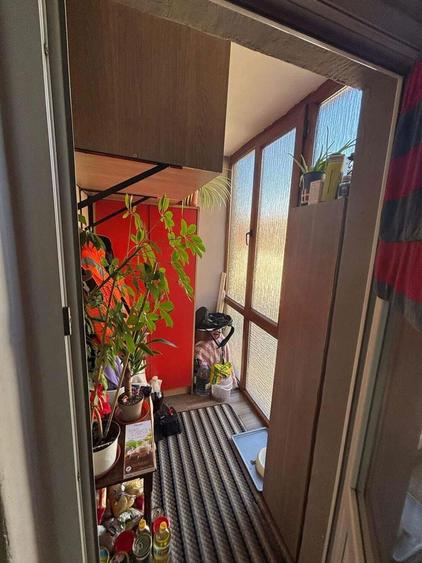 Semicentral - Vanzare apartament 1 camera - B-dul. 1 Decembrie 1918 - 3