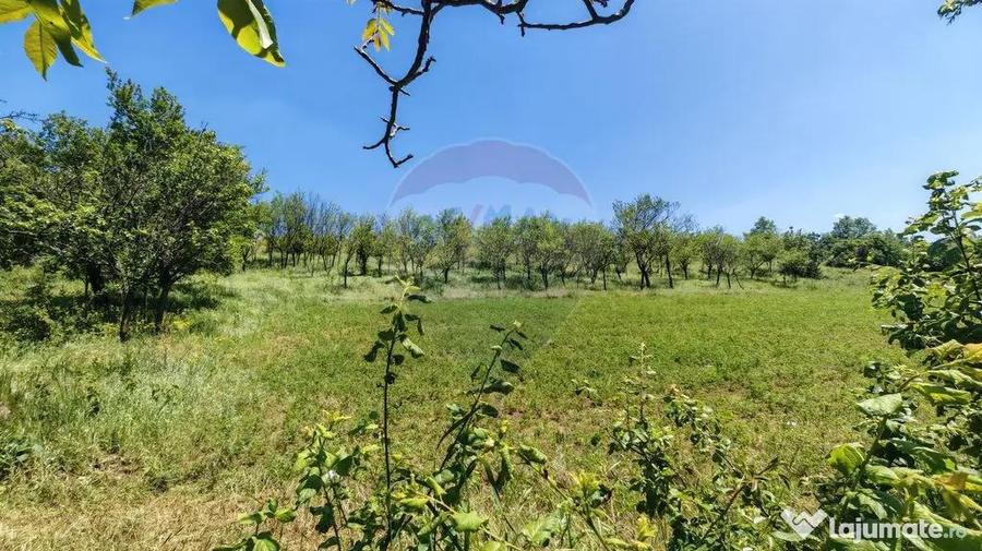Tere cu constructie de vanzare in Urlati - 9