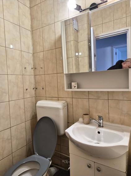 Berceni , Emil Racovita - 9