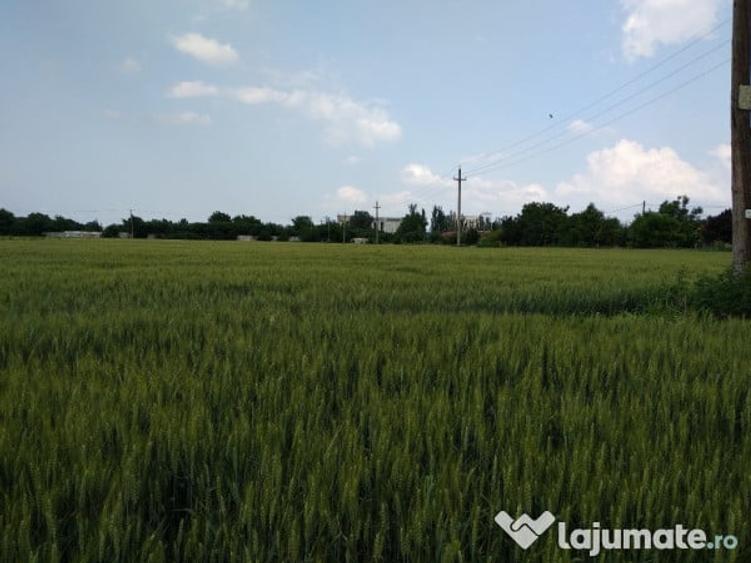 Teren intravilan pretabil parc fotovoltaic 43000mp - 3