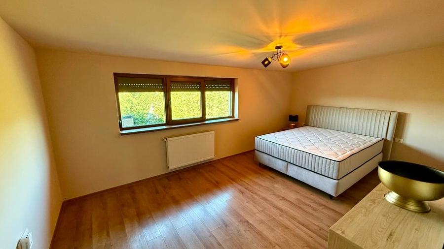 Confort ,liniste si intimitate Dumbravita - 4