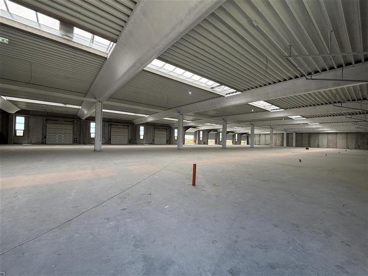 Inchiriere depozit/spatiu industrial/hala Chitila - Rudeni, ILFOV - 10