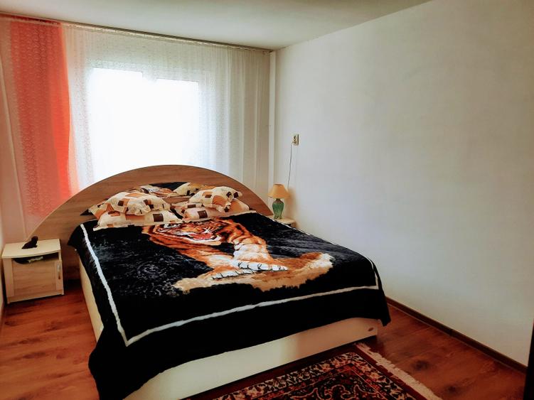 Ilia, proprietate deosebita - 8