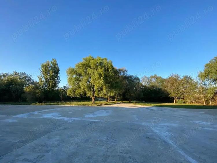 2 Hale cu birouri, vestiare, sala de mese si grupuri sanitare, teren 8868mp, E60, Tileagd BH, - 9