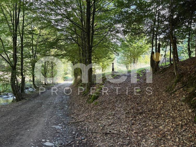 Teren extravilan de vânzare | 1402 mp | Blidari | zonă superbă - 5