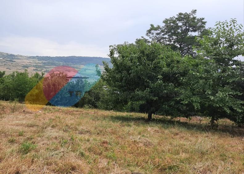 Teren intravilan, 2000 mp, Valea Chintaului - 2