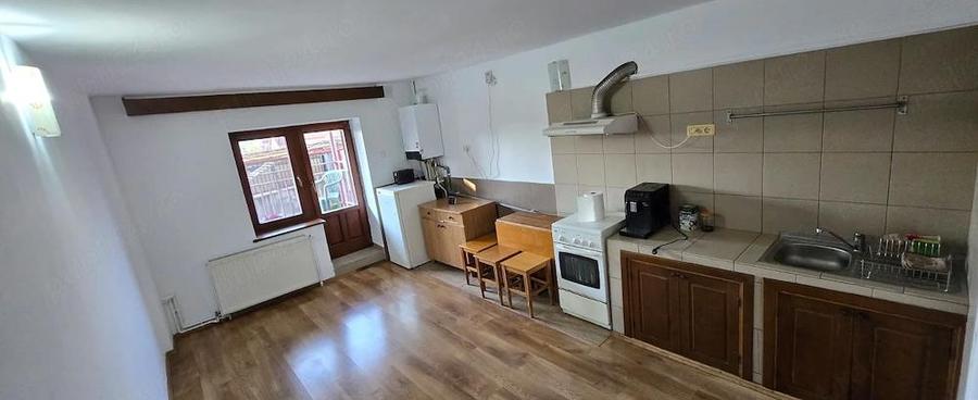 Casa de inchiriere sau vanzare Ana Ipatescu - 7