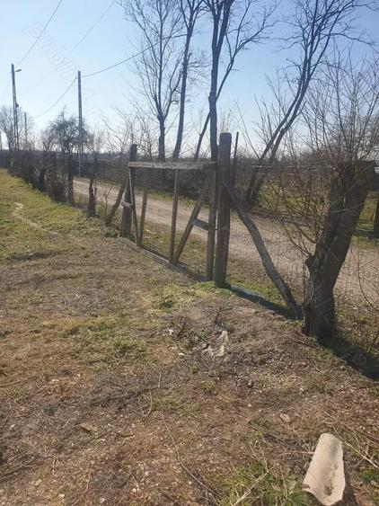 Vand teren intravilan 3x700 mp - 3