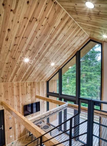 Cabane scandinave premium, vedere catre padure investi - 4