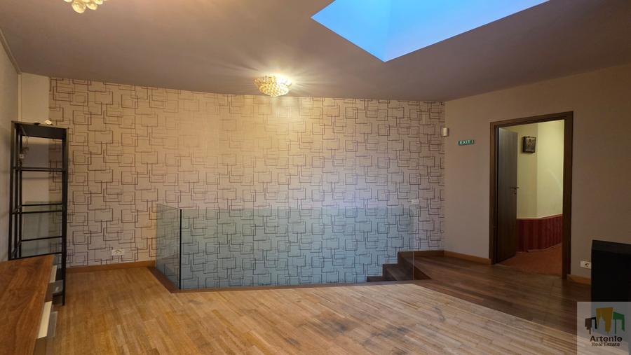 Pache Protopopescu - Matei Voievod vila singur curte - 11