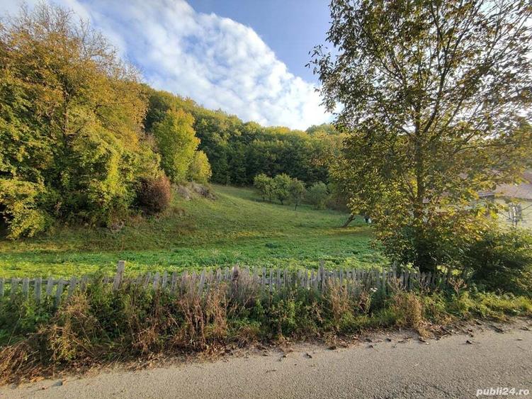 Casa de vanzare cu gradina teren de aprox 7000 mp,6.5 euro mp - 3