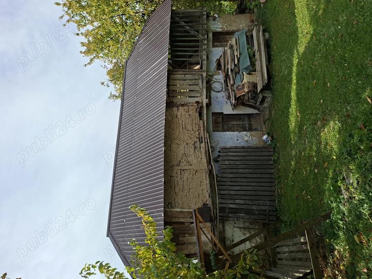 Vand casa Cerasu - 14