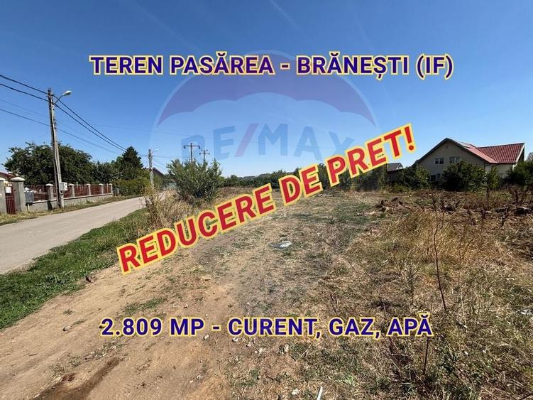 Teren intravilan 2.809 mp – Pasărea, Brănești, ideal casă sau investie - 9