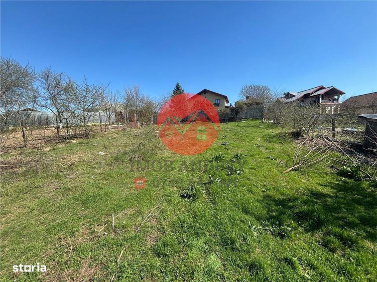 Teren Mineri 600 mp cu vedere directa la balta, utilitati, acces asfal - 3