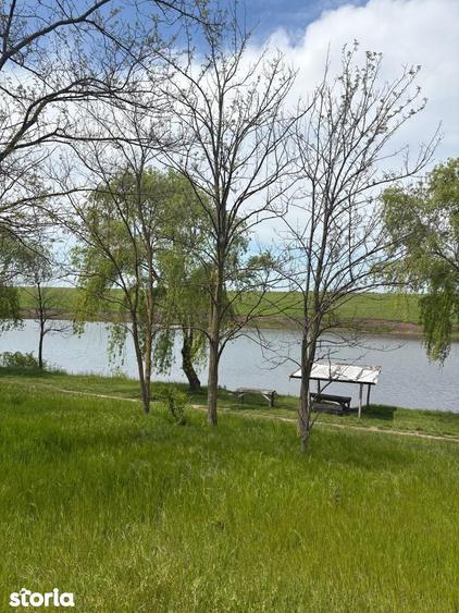 Oportunitate ideala pentru casa langa lac si padure de salcami - 4