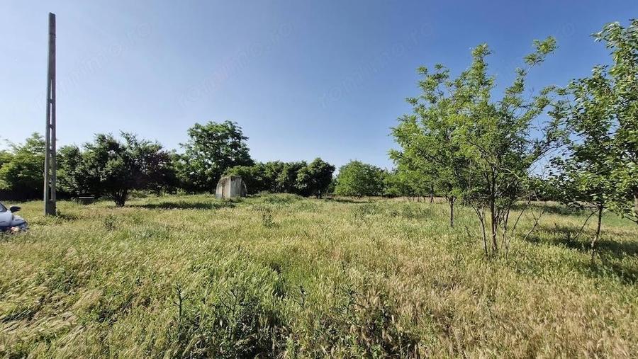 Teren intravilan 2.400 mp | Dalga - Dor Marunt | 1 ora de Bucure?ti - 3